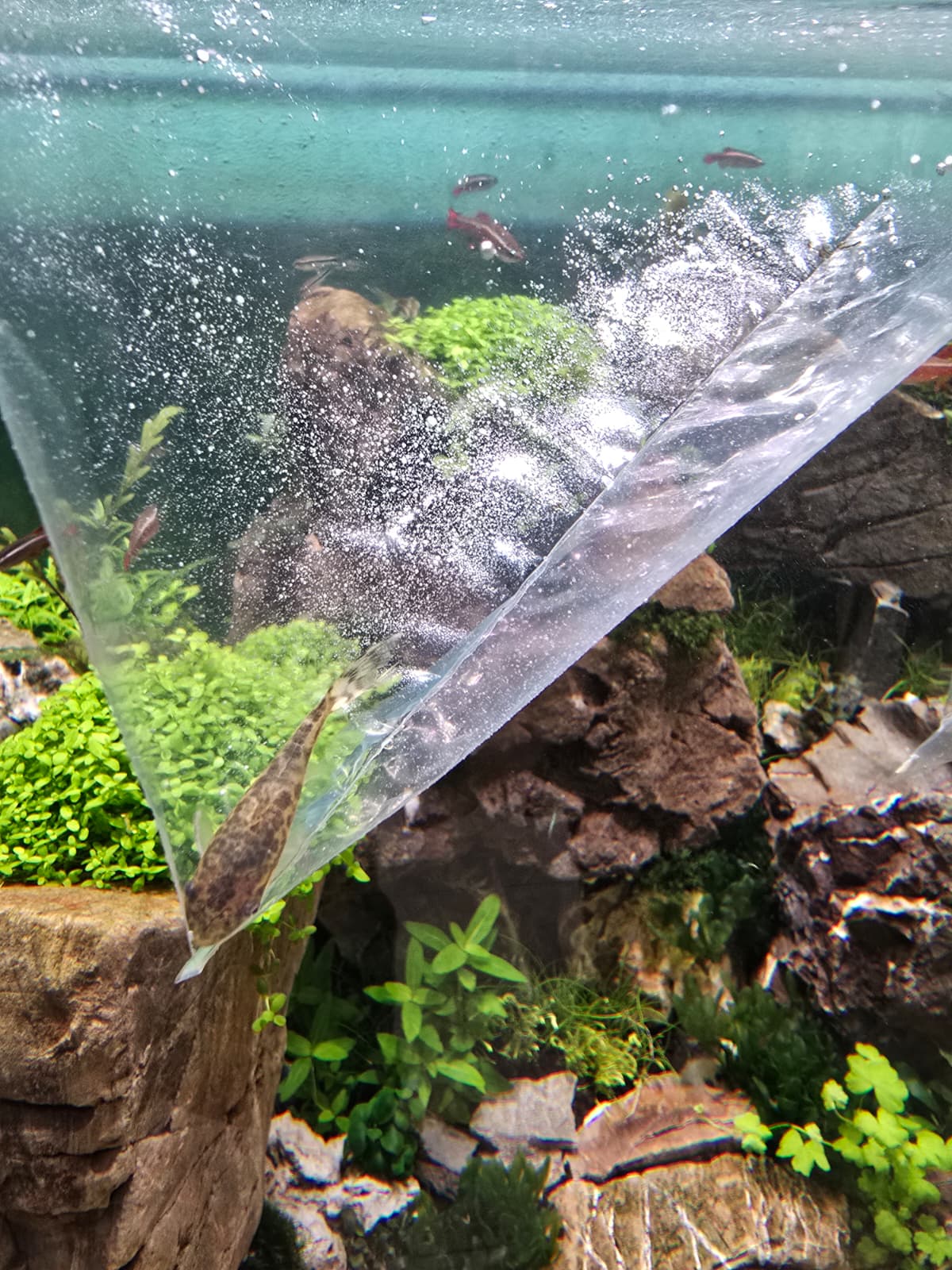 WhatsApp Image 2026-04-11 at 19.59.33(3).jpeg