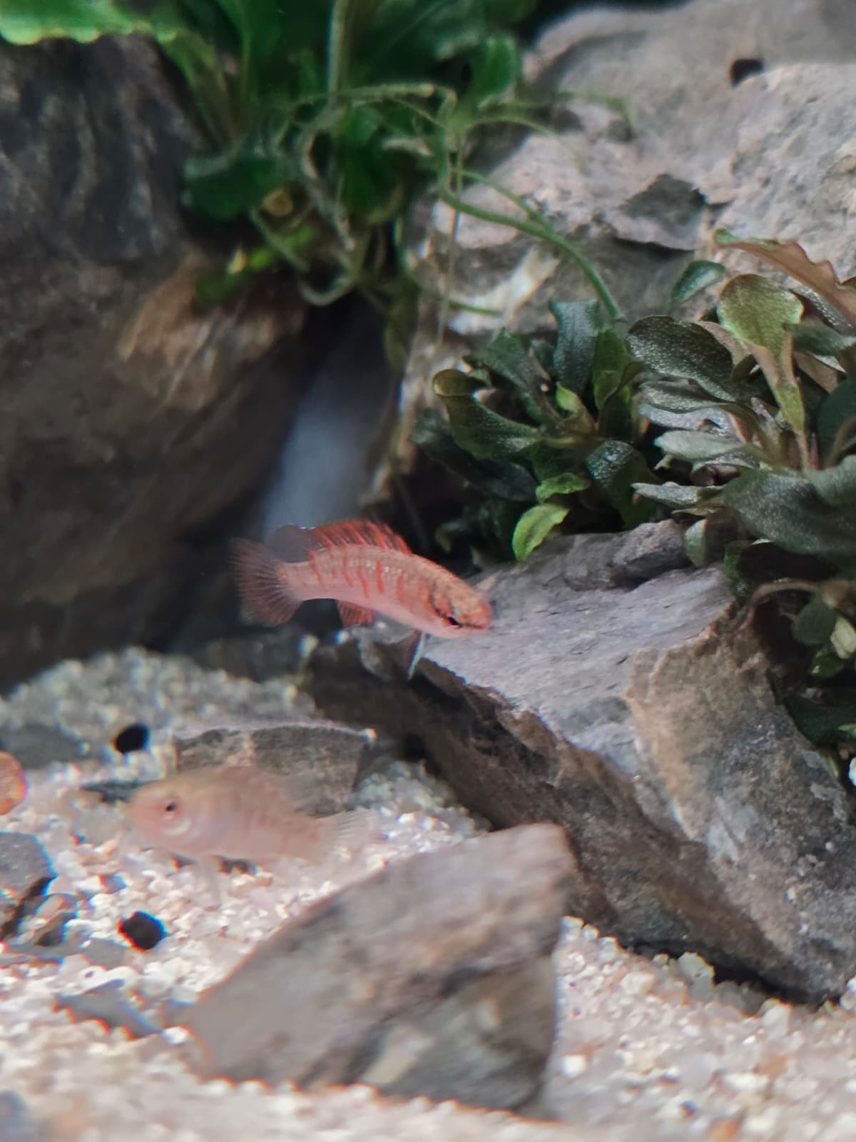 WhatsApp Image 2026-04-12 at 13.20.01(1).jpeg