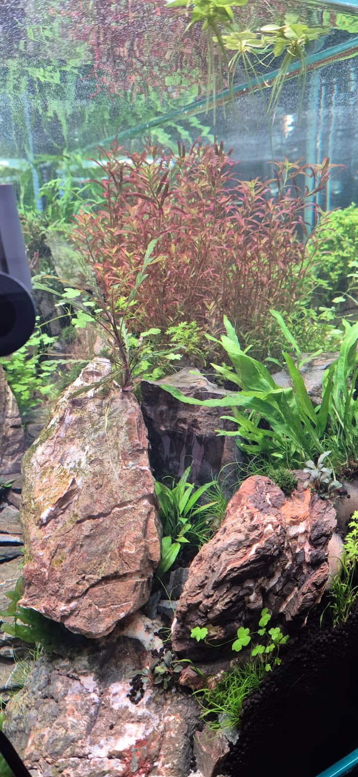 WhatsApp Image 2026-04-19 at 19.26.35(1).jpeg