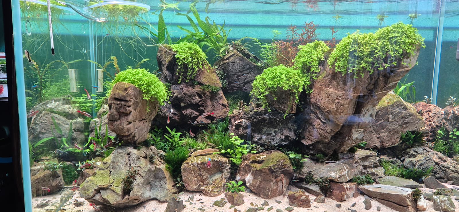 WhatsApp Image 2026-04-19 at 19.26.36(2).jpeg