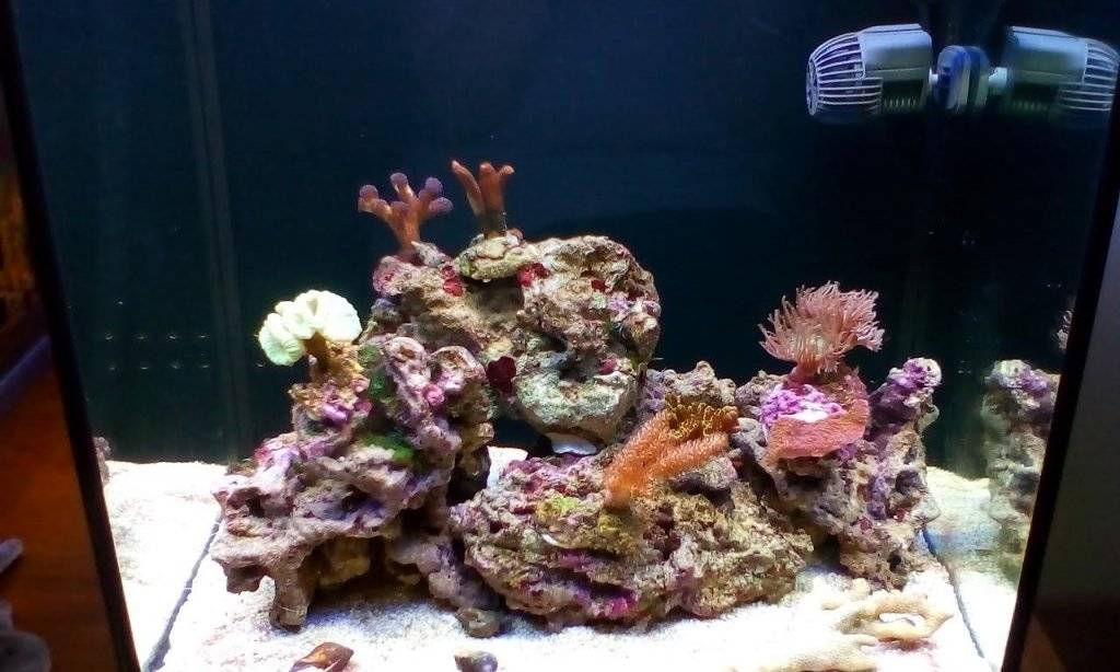 Zeewaterbak 28 5 2017.jpg