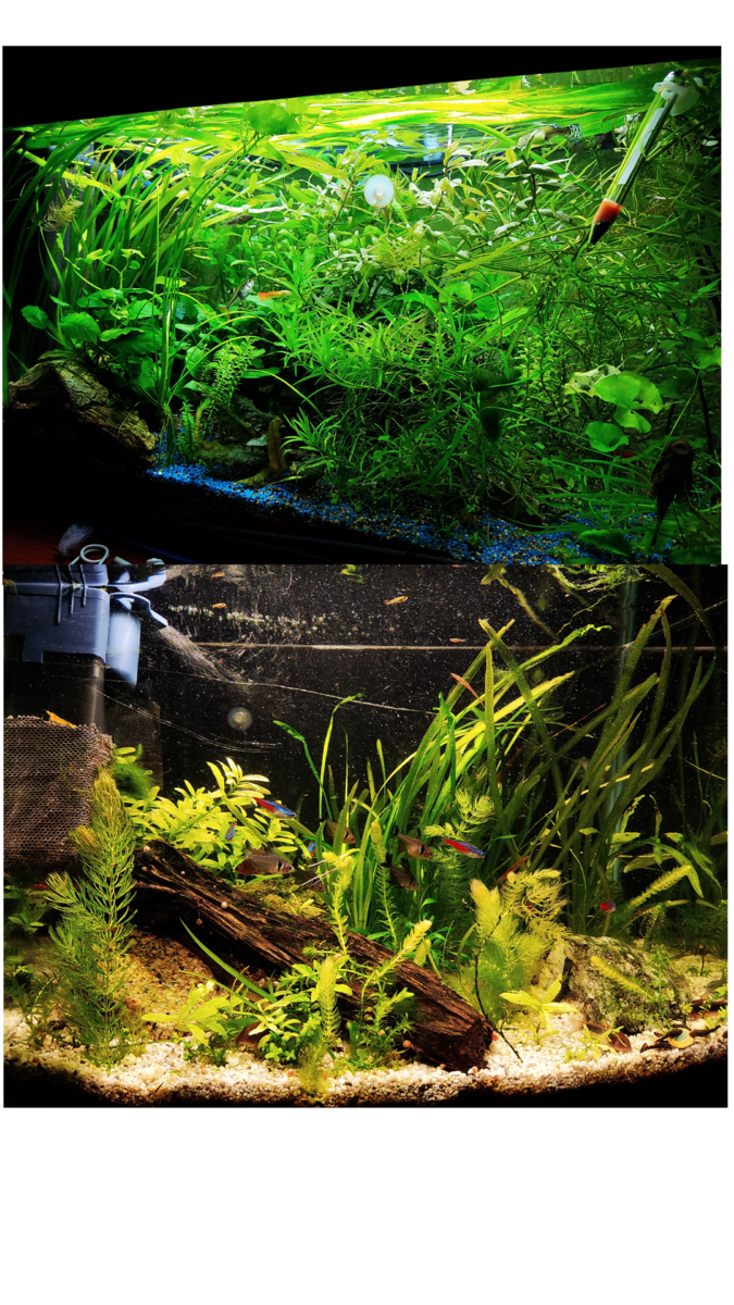 Zonder titel25_20230325220838.png