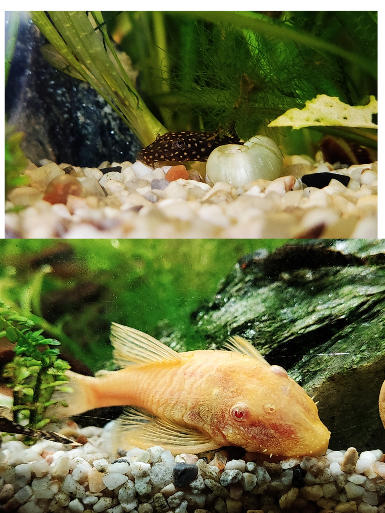 Zonder titel28_20230330154931.png