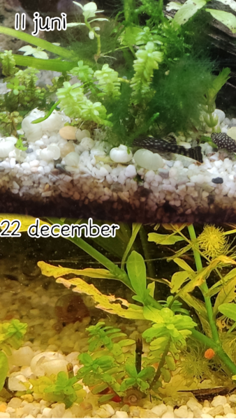 Zonder titel42_20230611142020.png