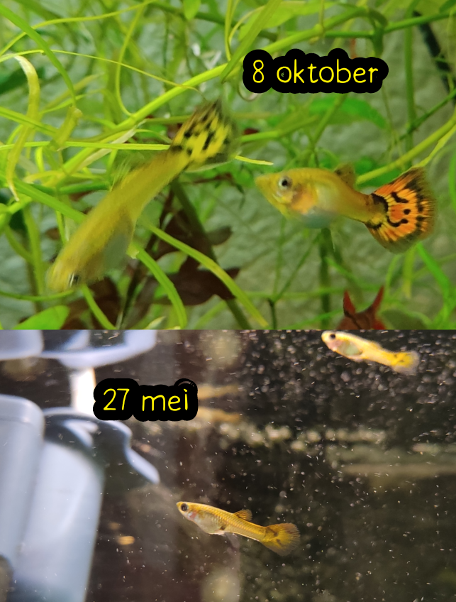 Zonder titel49_20231008200139.png