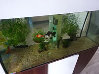 DSC02850.JPG