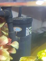 20200420_171555.jpg