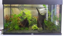 WhatsApp Image 2020-05-21 at 12.39.55.jpeg