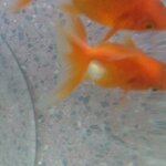 IMG_20200531_175248.jpg