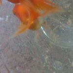 IMG_20200531_175227.jpg