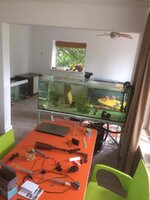 WhatsApp Image 2020-07-04 at 20.37.03.jpeg