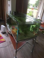 WhatsApp Image 2020-07-04 at 20.37.15.jpeg