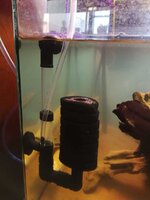 WhatsApp Image 2020-07-30 at 13.00.21.jpeg