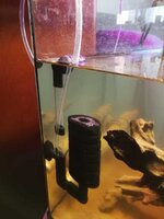 WhatsApp Image 2020-07-30 at 13.00.20.jpeg