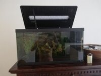 IMG_20200809_084639.jpg