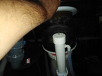 IMG_20200824_143651.jpg