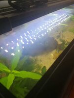 WhatsApp Image 2020-09-13 at 17.59.57.jpeg