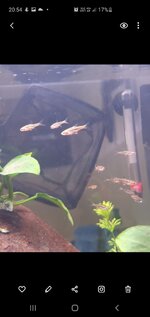 Screenshot_20201011-205415_Gallery.jpg