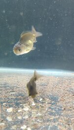 IMG_20201106_204520__01.jpg