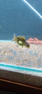 IMG_20201106_205145.jpg