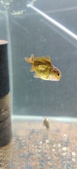 IMG_20201106_204133.jpg