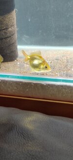 IMG_20201106_214535.jpg