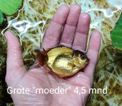 IMG_20201122_141501__01__01.jpg