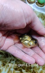 IMG_20201122_141429__01.jpg