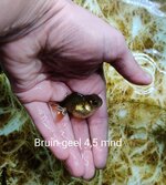 IMG_20201122_141424__01.jpg