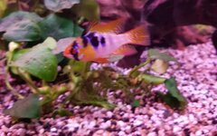 20201014_202057.jpg