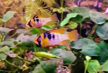 20201014_202118.jpg