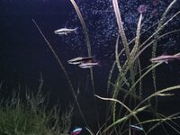 IMG_20201202_195440.jpg