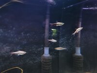 IMG_20201202_195408.jpg