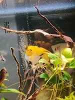 IMG_20210117_183620.jpg