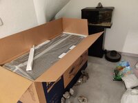 IMG_20210121_191210.jpg