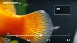 Screenshot_20210326-092812_Video Player.jpg