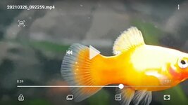 Screenshot_20210326-093057_Video Player.jpg