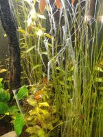 WhatsApp Image 2021-04-19 at 07.29.25 (2).jpeg