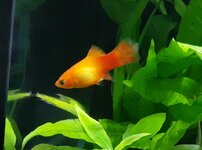 Screenshot_20210419-085548_Video Player.jpg