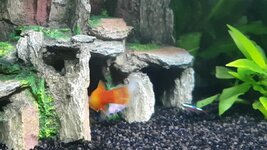 Screenshot_20210419-085910_Video Player.jpg