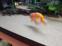 WhatsApp Image 2021-04-21 at 18.29.28 (1).jpeg