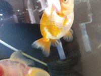 WhatsApp Image 2021-04-21 at 18.29.28.jpeg