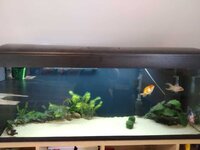 WhatsApp Image 2021-04-21 at 18.29.29.jpeg