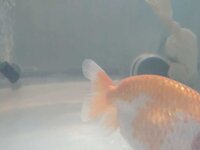 WhatsApp Image 2021-04-30 at 15.17.45.jpeg