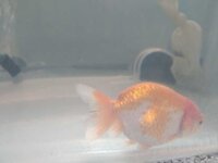 WhatsApp Image 2021-04-30 at 15.19.34.jpeg