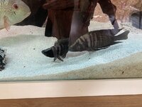 IMG_0105.JPG