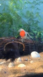 WhatsApp Image 2021-06-20 at 13.46.10.jpeg