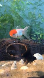 WhatsApp Image 2021-06-20 at 13.46.11.jpeg