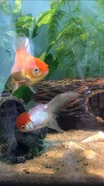 WhatsApp Image 2021-06-20 at 13.46.11 (1).jpeg