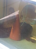 20210630_174414.jpg